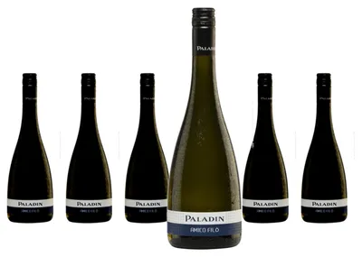 Produktbild von 6 x Paladin Amico Filò Vino Bianco Frizzante