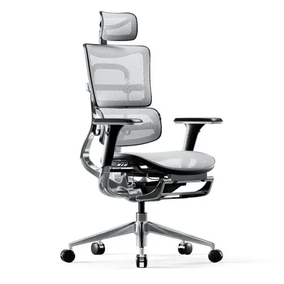 Image de Chaise ergonomique Diablo V-Master : noir et blanc