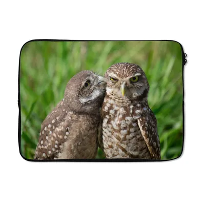 Produktbild von MuchoWow® Laptop Hülle 14 ZollEulen - Vögel - Gras Laptoptasche - Laptoptasche - Stoßsicher - Schutzhaube