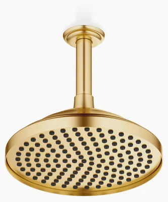 Produktbild von Dornbracht Regenbrause mit Deckenanbindung 77 messing gebürstet, 28565977-28