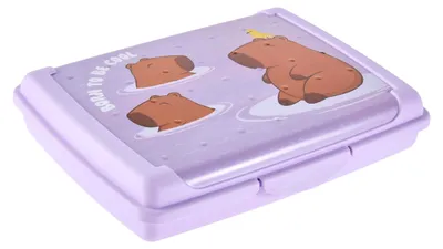 Obrázek produktu pro keeeper Carla, Nádoba na oběd, Dětský, Purpurová, Hnědá, Polypropylen (PP), Obrázek, Obdélníkový