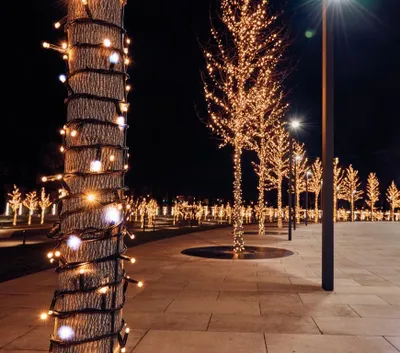 Productafbeelding van Koppelverlichting Connect De Luxe 100Led Flash Warm White 10M 31Volt Anna's Collection