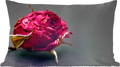 Produktbild von MuchoWow® Zierkissen Sofakissen Wohnzimmer Dekokissen 50x30 cm Rosen - Farbton - Rot - Wohnzimmerdekoration - Polster mit Photo
