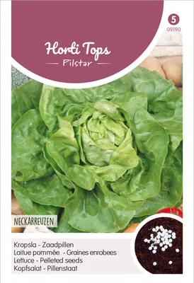 Produktbild von Kopfsalat Neckarreuzen Pillensaat | Kopfsalatsamen von Hortitops