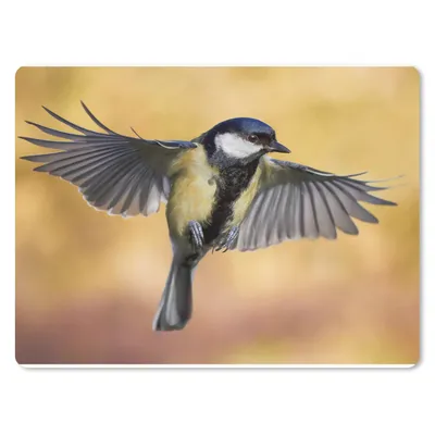 Produktbild von MuchoWow® Mauspad Mousepad Eine fliegende Kohlmeise 23x19 cm - Mousepads - Maus Mat - Pad - Mausunterlage - Schreibtischunterlage - Mauspad