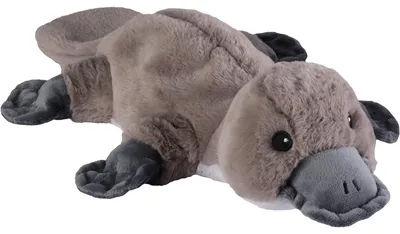 Produktbild von Warmies Wärmetier Schnabeltier
