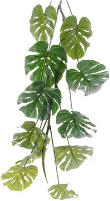 Produktbild von Warentuin Producten