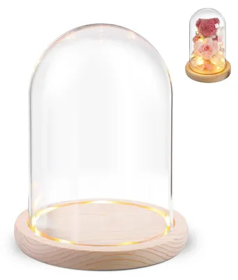Glaskuppel mit Holzsockel, 12 x 16 cm, LED-Beleuchtung, Dekoration