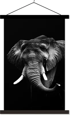 Produktbild von MuchoWow® Textilposter Elefant vor schwarzem Hintergrund - schwarz und weiß 40x60 cm mit schwarzem Rahmen - Wanddekorationen