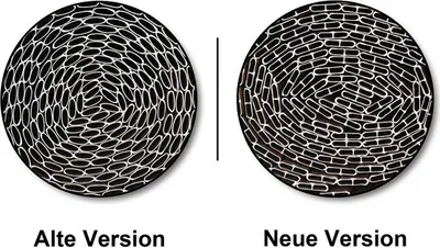 Produktbild von PVC Sichtschutzmatte mit Steg 90x700 cm