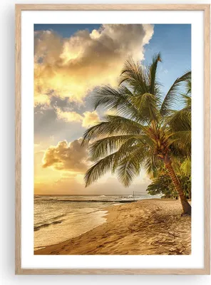 Produktbild von Gerahmtes Poster - Rahmen in heller Eiche - Strand Meer Palme - 50x70 cm - Wand Bild - Wanddeko - Wandbilder - Wandposter - Bilderrahmen - Bilder - Kunstdruck - Wandbild - P2NPA50x70-3606