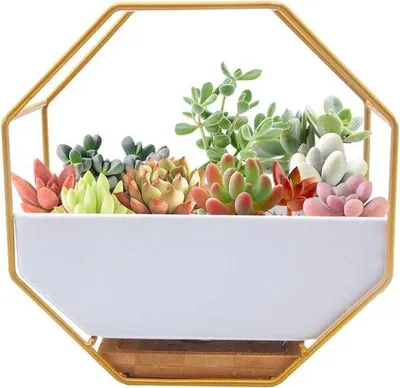 Produktbild von Keramische Wandvase weiß modern für Kakteen Dekoration