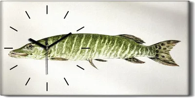Produktbild von Wandbild Leinwand Bilder mit Uhr Geräuschlos 60x30 Gemälde Tier Fisch Kunst - schwarze Hände