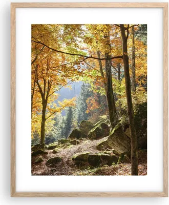 Produktbild von Gerahmtes Poster - Rahmen in heller Eiche - Herbst berg wald natur - 40x50 cm - Wand Bild - Wanddeko - Wandbilder - Wandposter - Bilderrahmen - Bilder - Kunstdruck - Wandbild - P2NPA40x50-2713