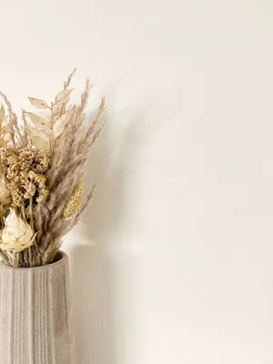 Produktbild von NEWROOM Tapete Niama Uni Creme Vliestapete - Modern Unifarbe Struktur  Germany