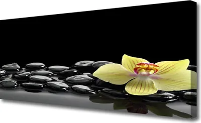 Produktbild von Tulup Leinwand-Bilder 125x50 Wandbild Canvas Kunstdruck Blume Steine Küche