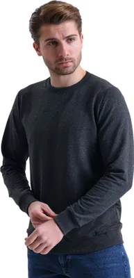 Produktbild von Sweatshirt Hoodie Rundhalsform Royyen 507 Herren – GRAU / M