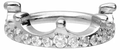 Produktbild von Ohrpiercing, Nasenpiercing, Septum Piercing Titan Segmentring Clicker KRISTALLKRONE Silber Innendurchmesser: 8 mm