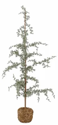 Produktbild von Bloomingville Vita Tree, Drinnen, Künstlicher Baum, Grün, Polyethylen, Schaum, 1 Stück(e), 400 mm