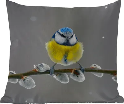 Produktbild von MuchoWow® Outdoor Kissen - Blaumeise - Vogel - Zweig - Gelb - Blau - 40x40 cm - Wetterfest - Lounge Kissen - Kopfkissen - Interieur - Polster mit Bild