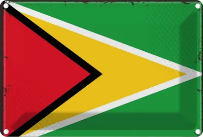 Obrázek produktu pro vianmo Kovový nápis 18x12 cm Flagge Guyana