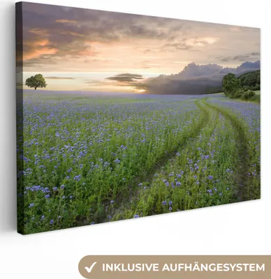 Produktbild von OneMillionCanvasses® - Leinwandbilder - 150x100 cm, Sonnenuntergang - Blumen - Farben, Wandbilder Kunstdruck Wanddekoration