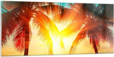 Produktbild von Bilder auf glas - Meer Palme Wasser - 120x50cm - Glasbilder - Wandbilder - Kunstdruck - zum Aufhängen bereit - Wanddekoration aus Glas - Glas Bilder - Wandbild auf Glas - Einteilig - GAB120x50-4018