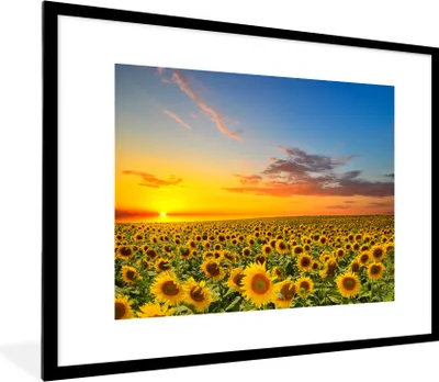 Produktbild von MuchoWow® Gerahmtes Poster Blumen - Sonnenblume - Sonnenuntergang - Nacht - Orange 80x60 cm - Poster mit Schwarzem Bilderrahmen Wandposter Rahmen Foto Bilder - Schlafzimmer-Dekorationen - Fotoposter