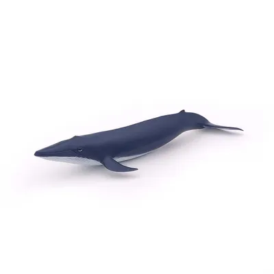 Zdjęcie produktu dla Papo Blue whale calf, 3 lat(a), Marine life, Niebieski, PCW