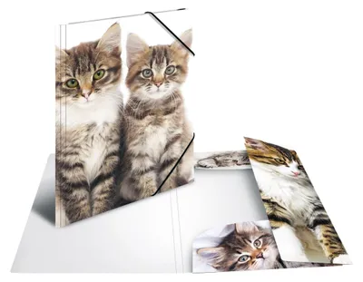 Obrázek produktu pro HERMA Sammelmappe A3 Katzen Polypropylen