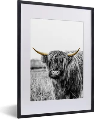 Produktbild von MuchoWow® MuchoWow® Gerahmtes Poster Schottisches Hochlandrind - Gras - Gold 30x40 cm - Poster mit zchwarzem Bilderrahmen - Wandposter Schlafzimmer
