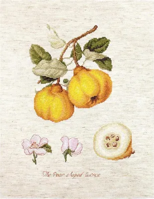 Obrázok produktu pre Sada výšivky Luca-S "Hruškovitý kryslík", vzor na výšivku, 18,5 x 25 cm