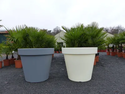 Produktbild von E&K Übertopf Ø 80 cm Pflanztopf Blumentopf Pflanzkübel "Ecken und Kanten" Kübel - Farben: anthrazit, weiss, grau XXL groß
