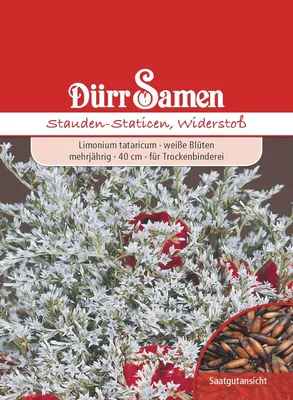 Produktbild von Dürr-Samen Staudenstatice Weiß – Mehrjährige Trockenblume für elegante Schnittsträuße