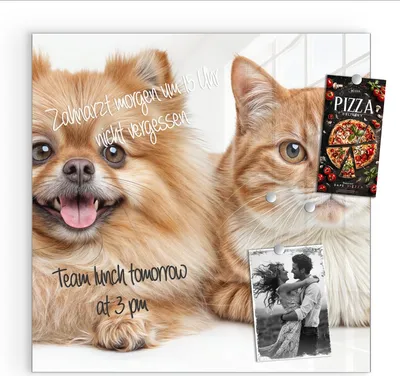 Produktbild von Magnettafel 30x30cm Pinnwand Whiteboard beschreibbar - Hund und Katze