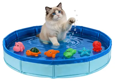 Produktbild von Katzenpool faltbar, 50 x 10 cm, mit 6 Schwimmspielzeugen, für Katzen und Hunde