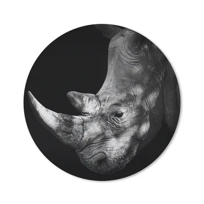 Produktbild von MuchoWow® Mauspad Mousepad Rhinozeros - Tier - Licht 50x50 cm - Mousepads - Maus Mat - Pad - Mausunterlage - Vinyl