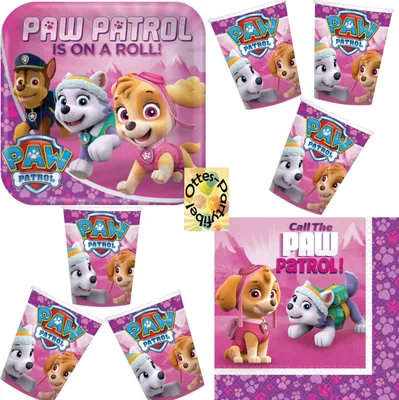 Produktbild von PAW Patrol Partyset - Skye-Everest-Patrol-Set 36tlg. - für 8 Gäste Teller Becher Servietten