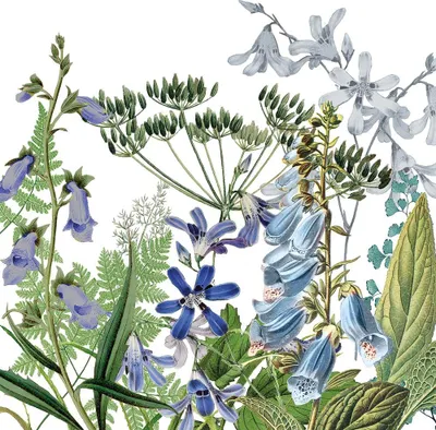 Produktbild von 20 Servietten Donatella - Wilde Naturwiese mit Fingerhut 33x33cm