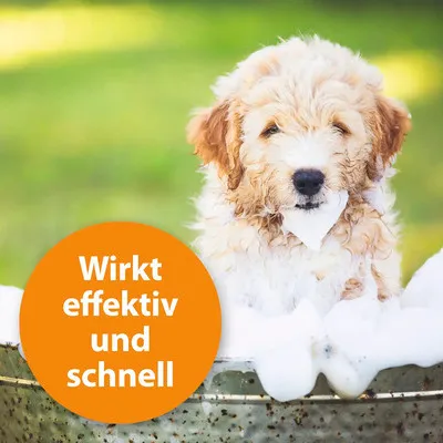 Produktbild von Ardap Anti Floh Hunde Shampoo 250Ml