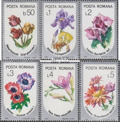 Produktbild von Briefmarken Rumänien 1986 Mi 4268-4273 (kompl.Ausg.) postfrisch Gartenblumen