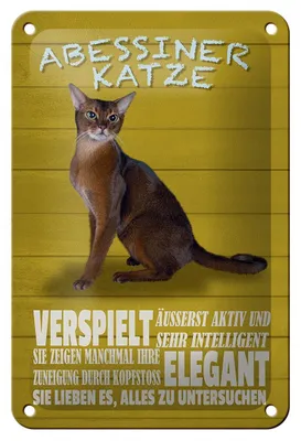 Produktbild von Blechschild Spruch 12x18cm Abyssiner Katze verspielt