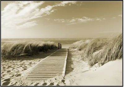 Produktbild von Wallario Wandbild Auf dem Holzweg zum Strand in Sepiafarben, Größe: 70,30 x 100,30 cm, Poster mit schwarzem Aluminiumrahmen