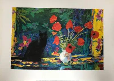 Productafbeelding van Geraldine Girvan - Avondlicht - Poster - 50x70 cm