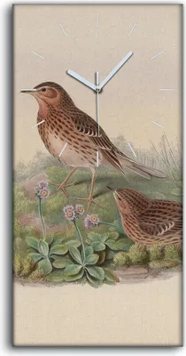 Produktbild von Wandbild Leinwand Bilder mit Uhr 30x60 Vögel Wild Tiere Zeichnung Kunst - weiße Hände