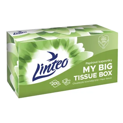 Zdjęcie produktu dla Linteo Chusteczki Higieniczne W Kartoniku 200 Szt. 2warstwowe Delikatne