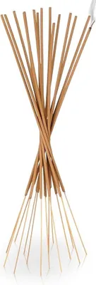 Produktbild von PROGARDEN Räucherstäbchen CITRONELLA gegen Mücken 15 Stück