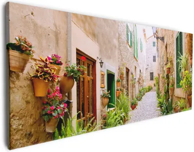 Produktbild von Wallario Premium Leinwandbild Südländische Gasse mit alten Häusern und grüner Oase in Größe 50 x 125 cm