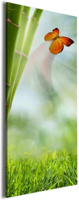 Produktbild von Wallario Premium Leinwandbild Schmetterling im Grünen mit Bambus in Größe 50 x 125 cm