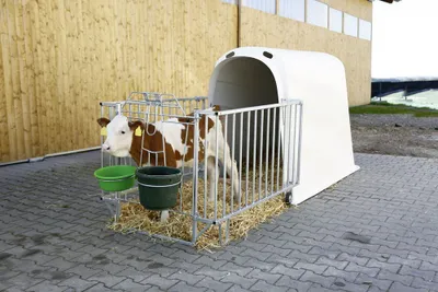 Produktbild von CalfHouse Premium Plus ohne Umzäunung